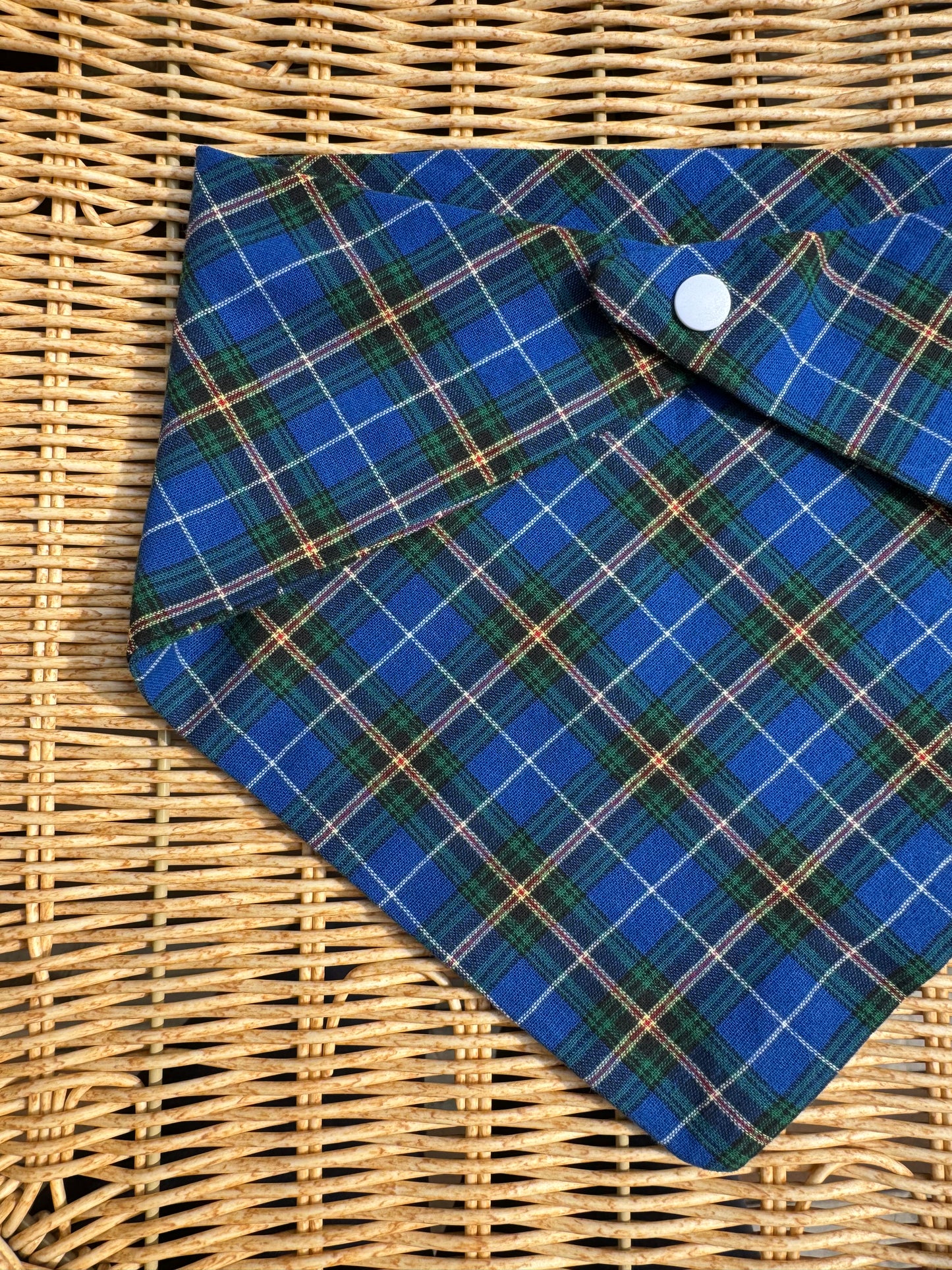 Tartan Tides