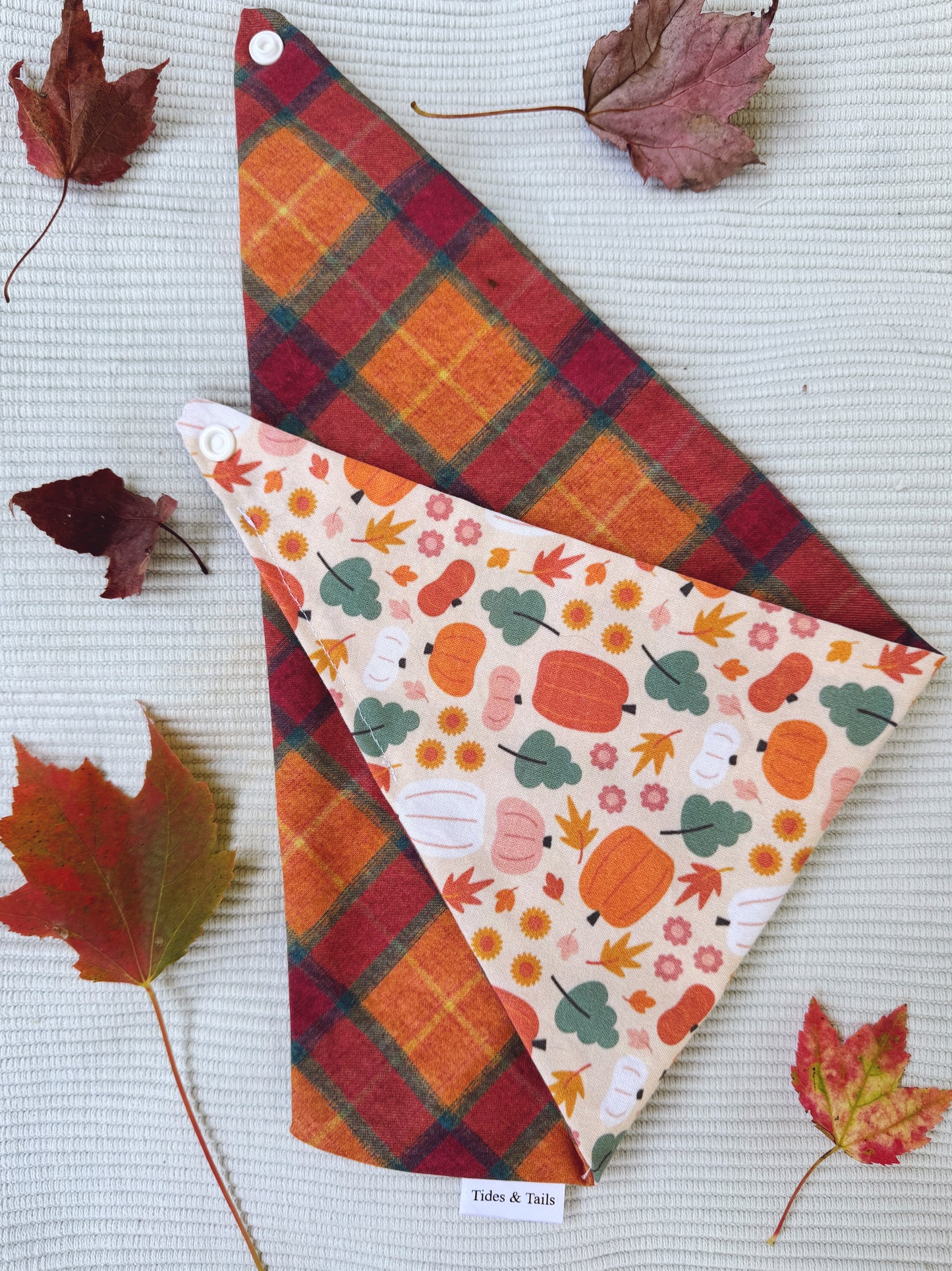 Pumpkin Plaid